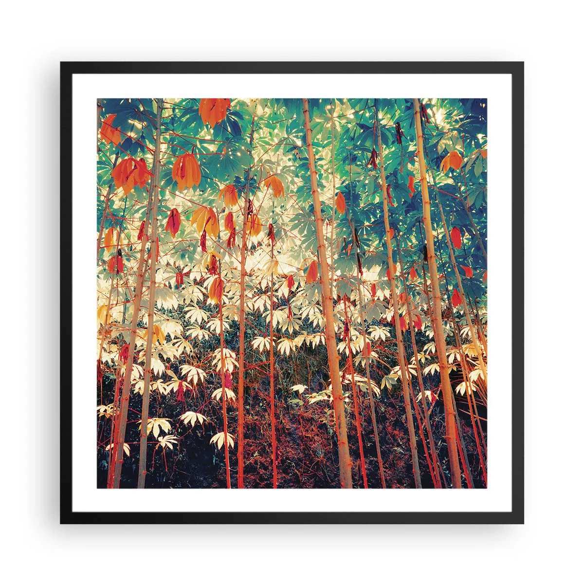 Plakát v černém rámu - Tajný život listů - 60x60 cm