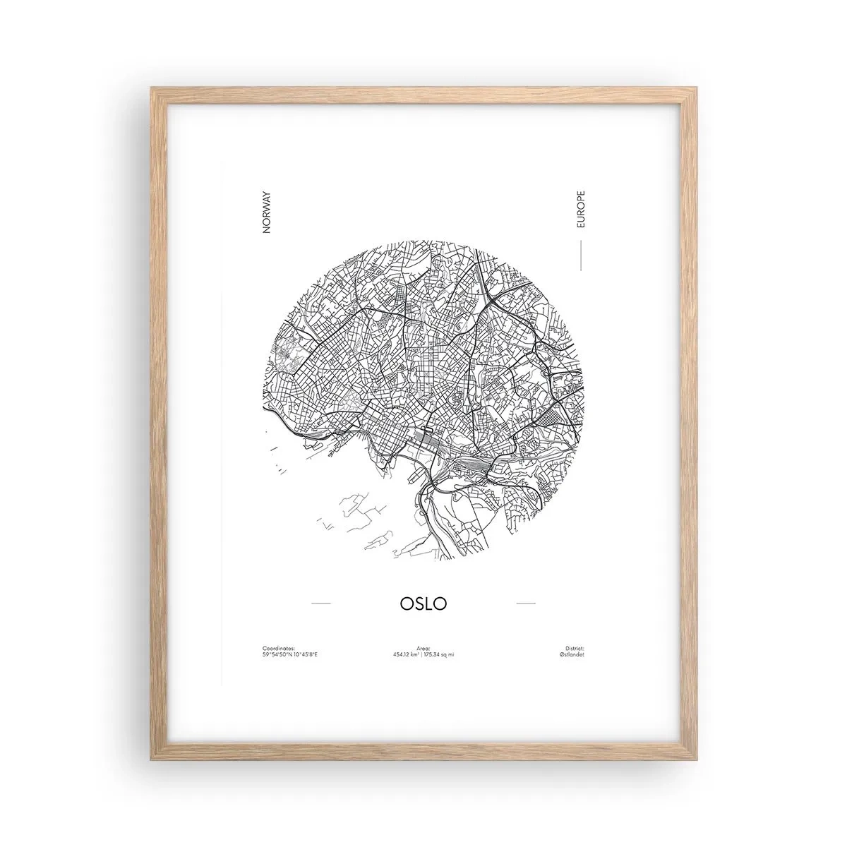 Plakát v rámu světlý dub - Anatomie Osla - 40x50 cm
