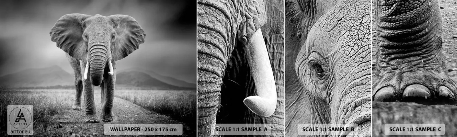 Vzor Fototapety Samolepicí Deluxe Sticker - Hostitel vítá - Slon, Zvířata, Krajina - 100x30 cm