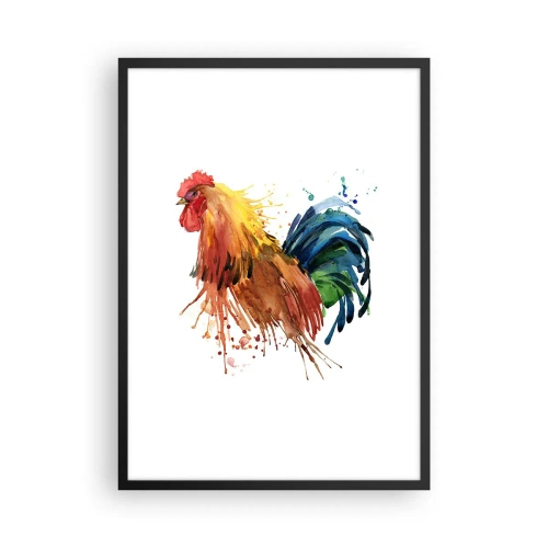 Plakát v černém rámu - Barevný kohout ve stylu akvarelu - 50x70cm - Královský šat, královská pýcha - Moderní nástěnná dekorace do obývacího pokoje a ložnice ARTTOR