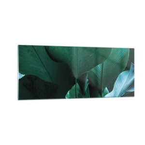 Obraz na skle - Obrácené ke světlu - 100x40 cm