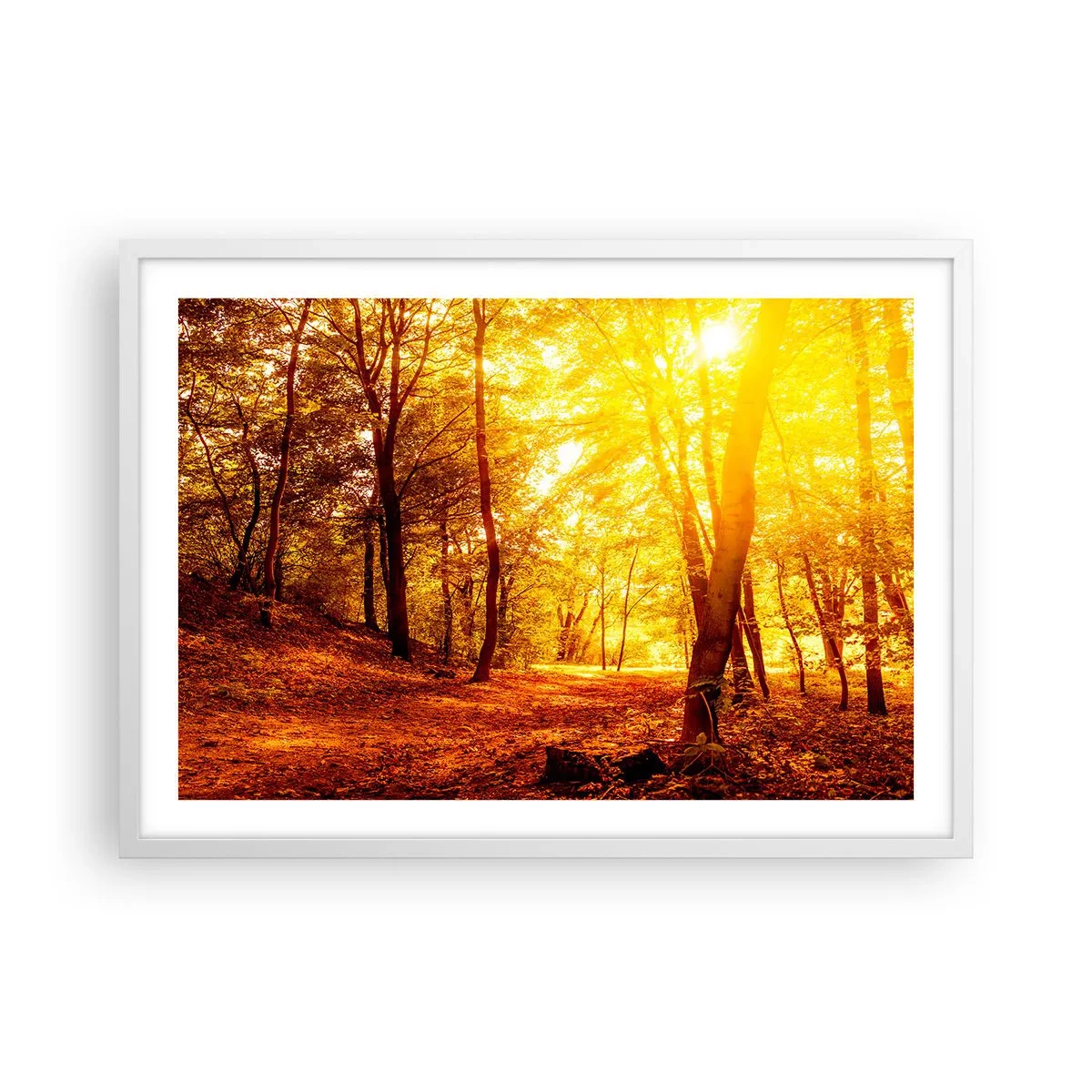 Plakát v bílém rámu - Ke zlaté mýtině - 70x50 cm