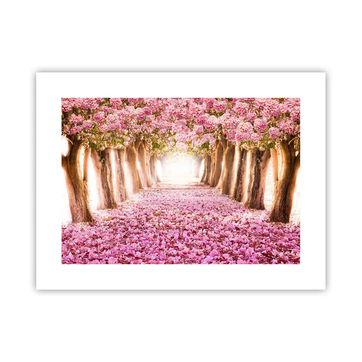 Plakát - Cesta do ráje - 40x30 cm