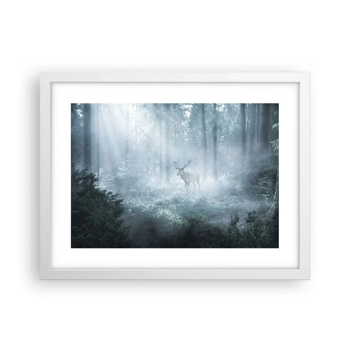 Plakát v bílém rámu - Ranní obchůzka sídliště - 40x30 cm