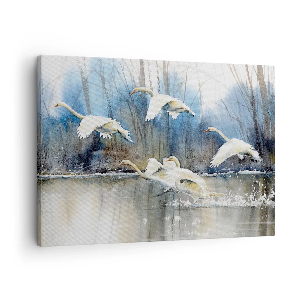 Obraz na plátně - Labutě v letu nad zamrzlým jezerem v zimní krajině - 70x50cm - Jako v povídce o divokých labutích - Moderní nástěnná dekorace do obývacího pokoje a ložnice ARTTOR