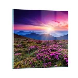 Obraz na skle - Zavoněly svěží pupeny bylinek z obilných polí - 70x70 cm