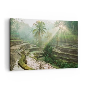 Obraz na plátně - Vyrůstát na slunci - 120x80 cm