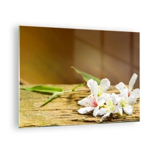 Obraz na skle - Bílé květy na dřevěném pozadí v teplém světle - 70x50cm - Nevinný slib - Moderní nástěnná dekorace do obývacího pokoje a ložnice ARTTOR