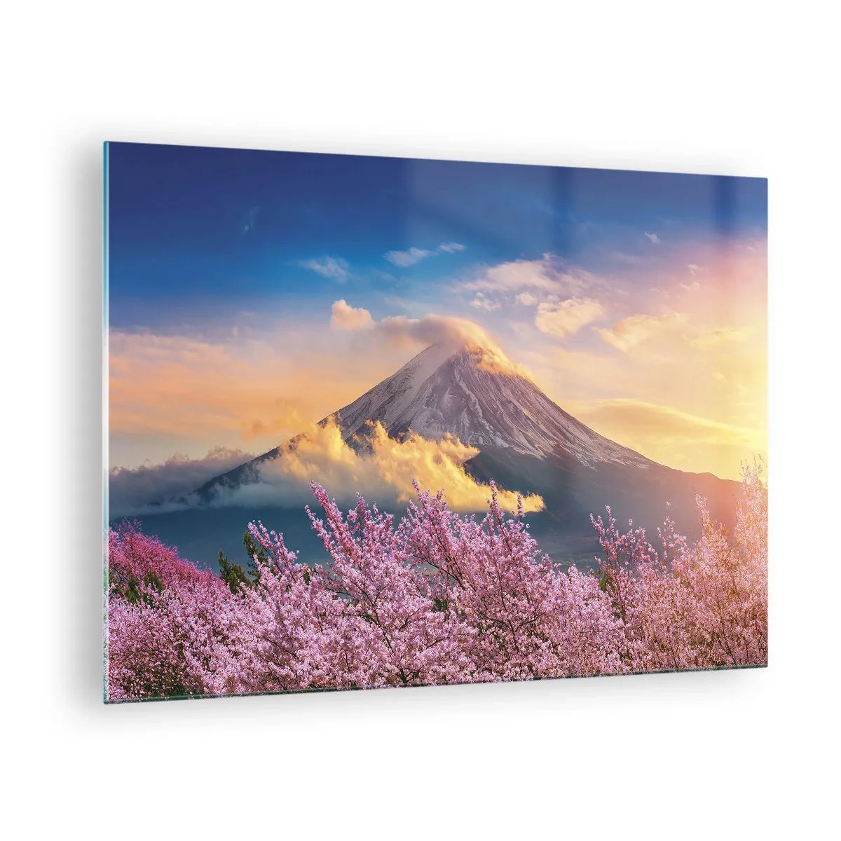 Obraz na skle - Hora Fudži v pozadí s kvetoucími sakurami v popředí - 70x50cm - Japonská svátost - Moderní nástěnná dekorace do obývacího pokoje a ložnice ARTTOR