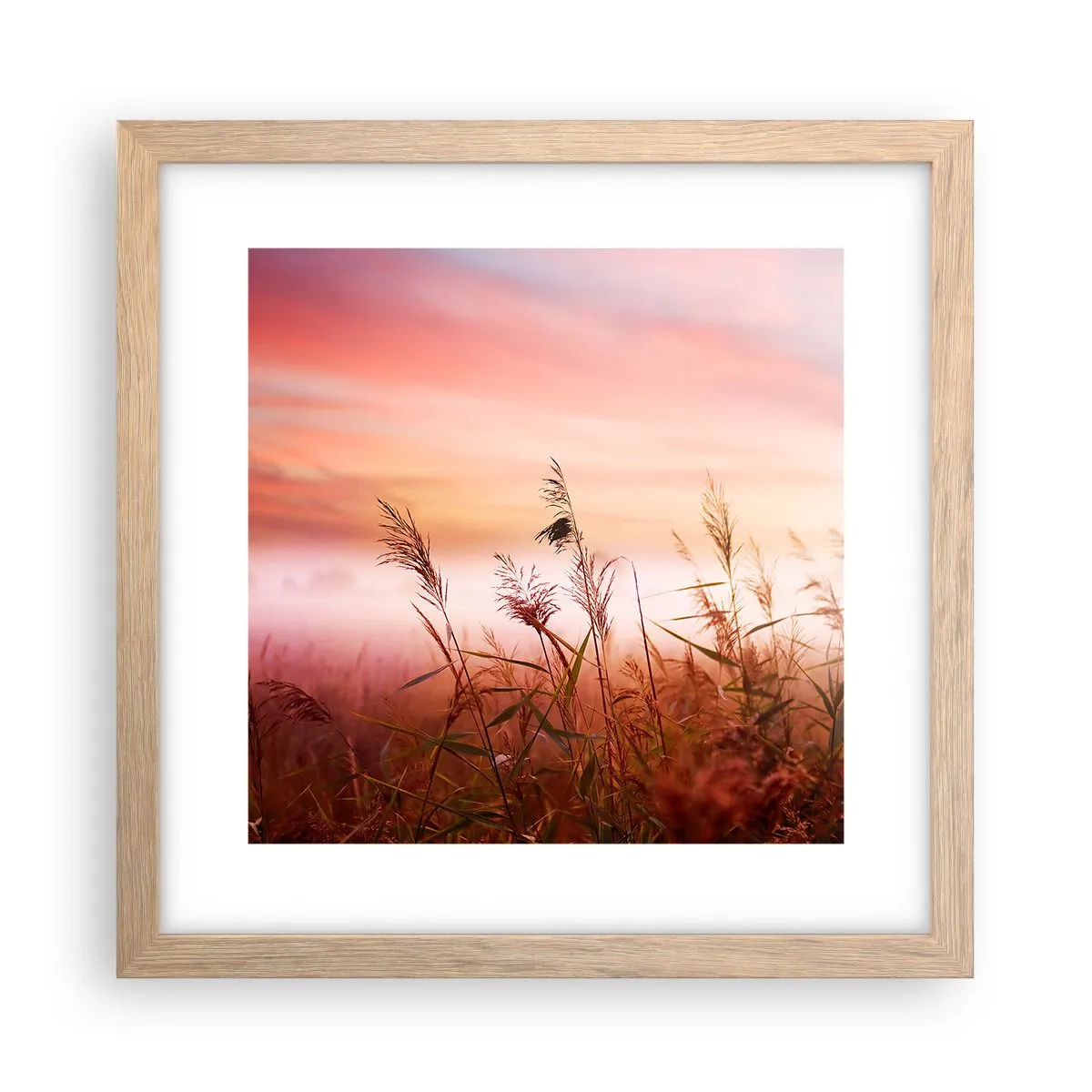 Plakát v rámu světlý dub - Draci, pampelišky a vítr - 30x30 cm