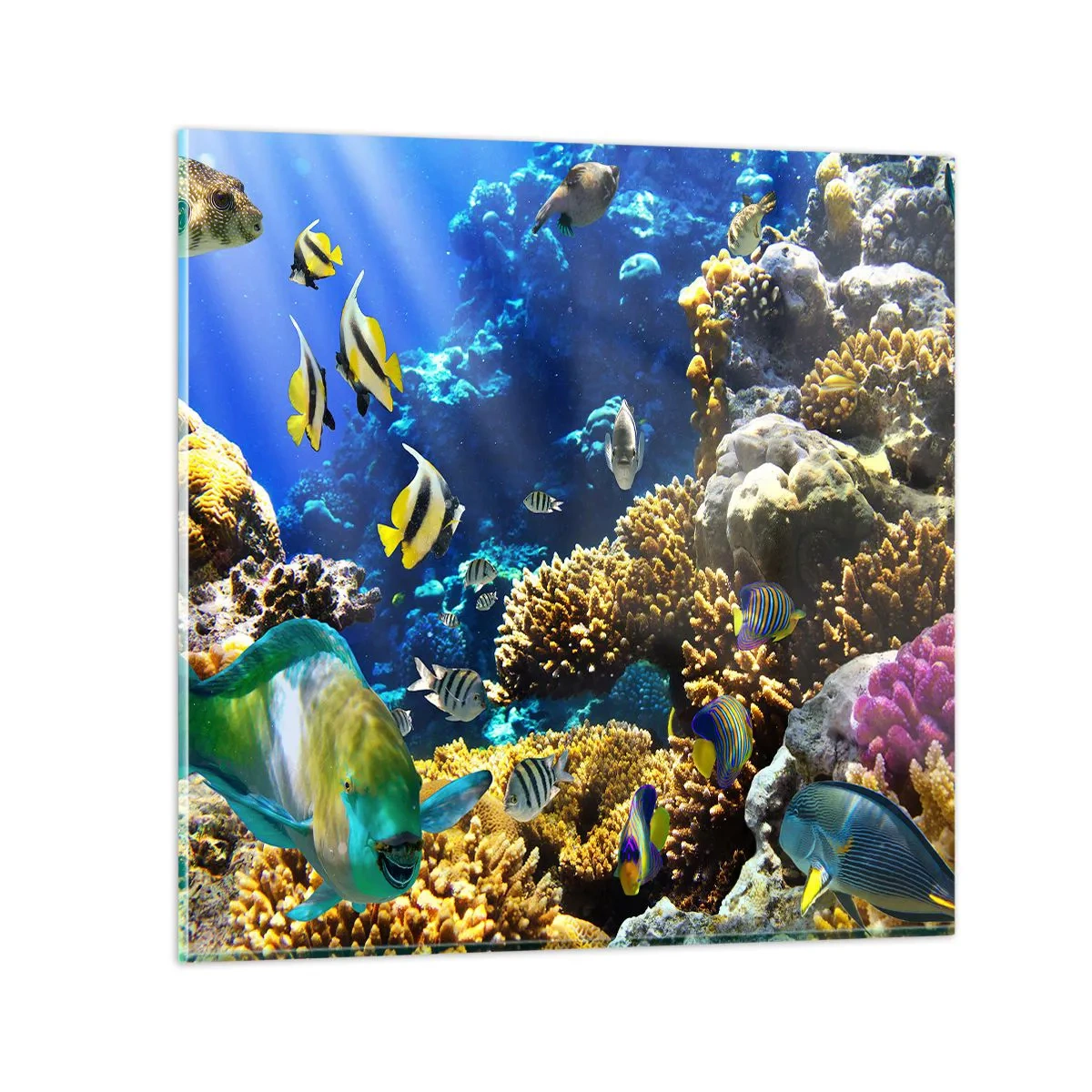 Obraz na skle - Velký provoz na prázdninové stezce - 40x40 cm