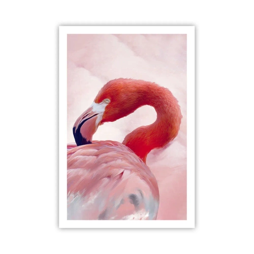 Plakát - Ptačí krása - 61x91 cm