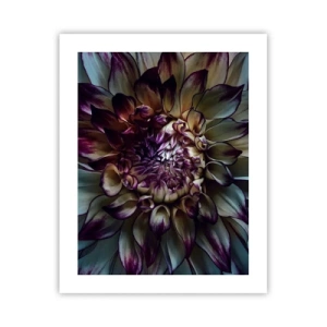 Plakát - Rozkvět mládí - 40x50 cm