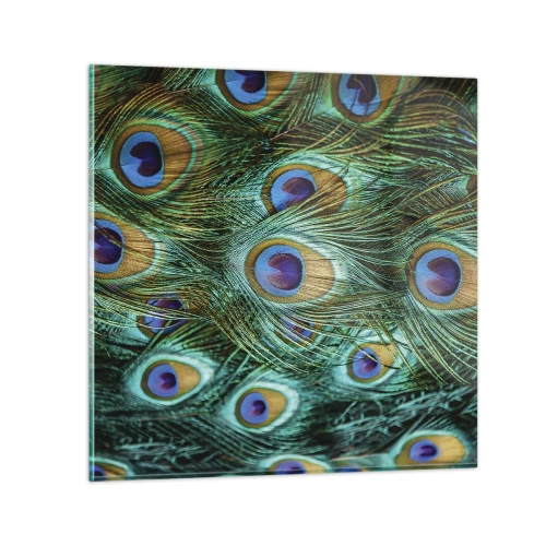 Obraz na skle - Paví pohled - 30x30 cm