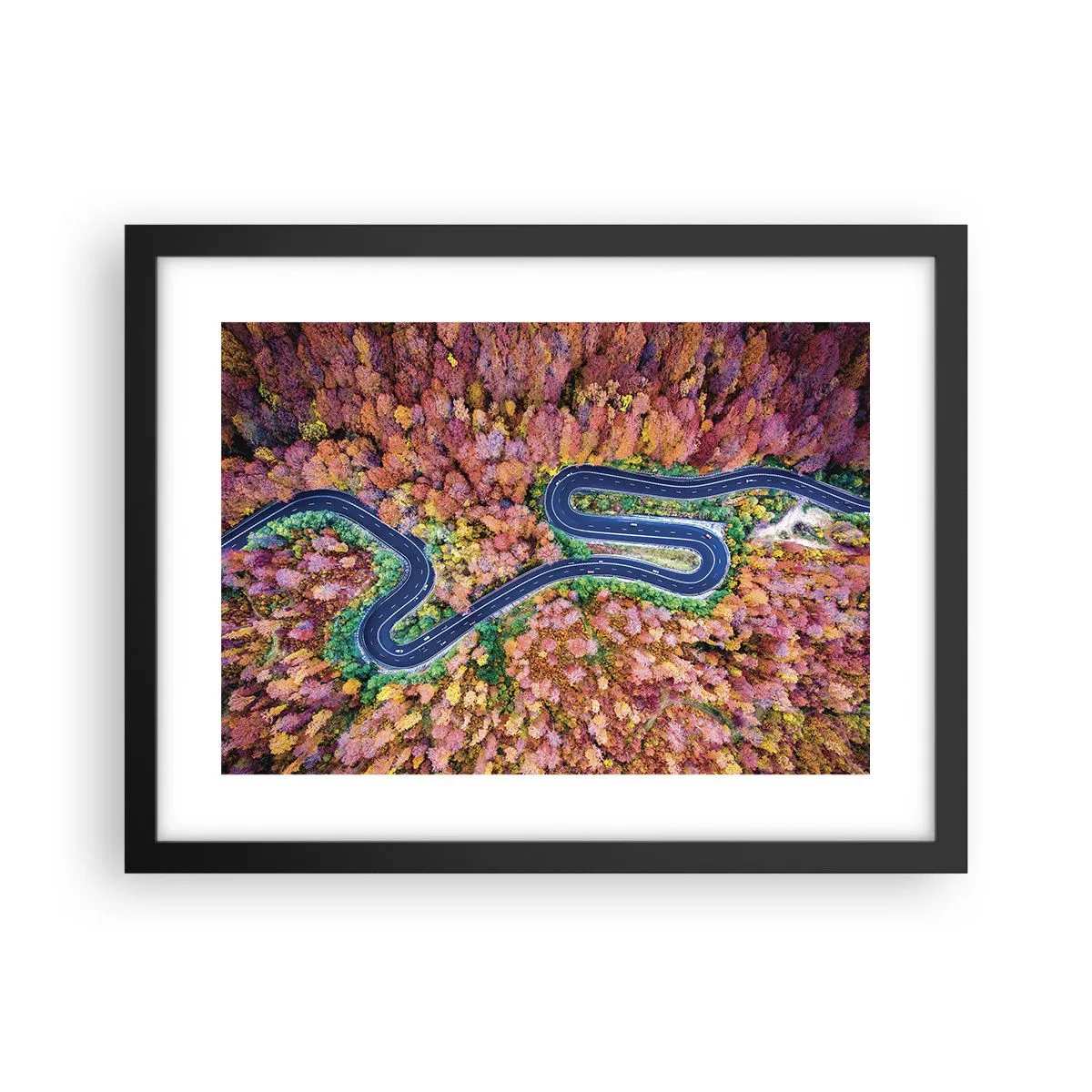 Plakát v černém rámu - Klikatá cesta lesem - 40x30 cm