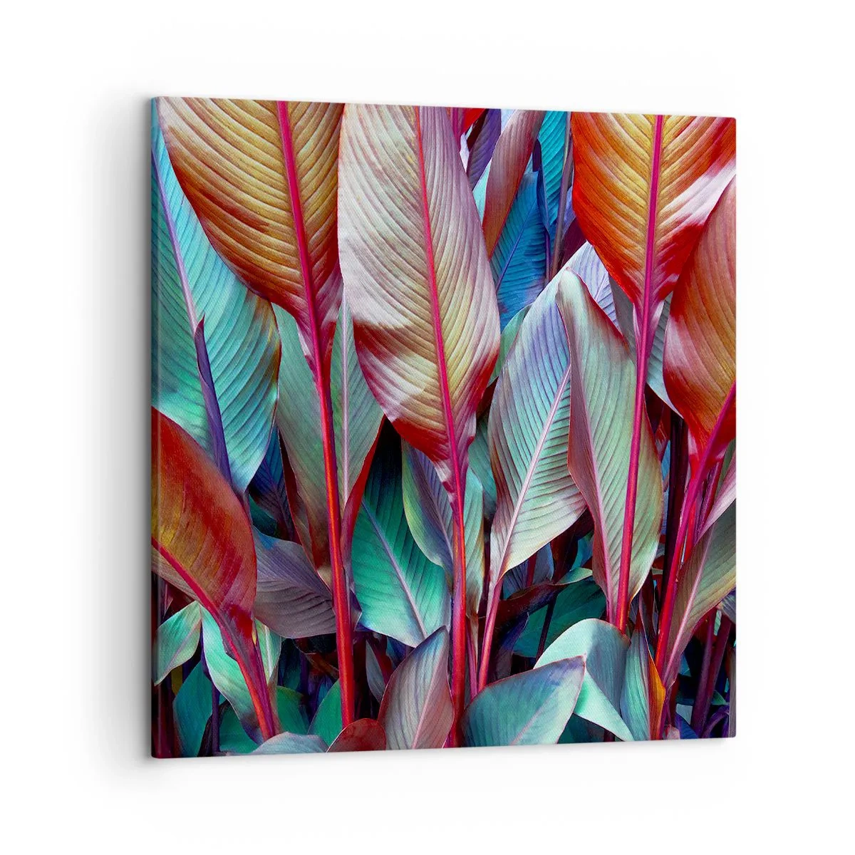 Obraz na plátně - Barevná houština - 50x50 cm