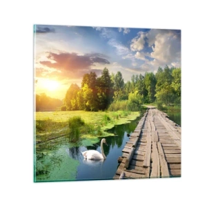 Obraz na skle - Léto, léto všude - 40x40 cm