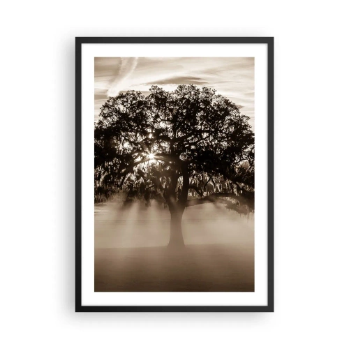 Plakát v černém rámu - Strom v mlze s paprsky světla - 50x70cm - Strom zpráv samotného dobra - Moderní nástěnná dekorace do obývacího pokoje a ložnice ARTTOR