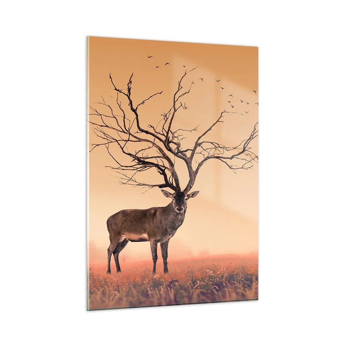 Obraz na skle - Prajelen - věčný duch lesa - 50x70 cm