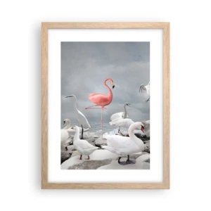 Plakát v rámu světlý dub - Kde jsem se tu vzal? - 30x40 cm