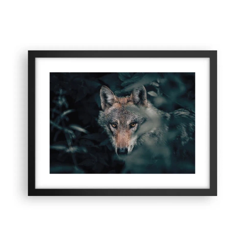 Plakát v černém rámu - Predátor - 40x30 cm