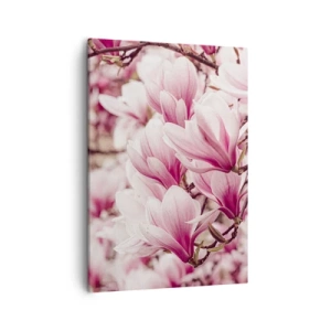 Obraz na plátně - Jaro je růžové - 50x70 cm