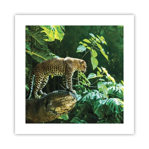 Plakát - Na lov? - 40x40 cm