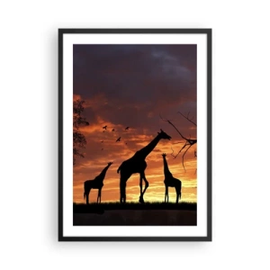 Plakát v černém rámu - Siluety žiraf při západu slunce - 50x70cm - Malá večeře v kruhu nejbližších - Moderní nástěnná dekorace do obývacího pokoje a ložnice ARTTOR