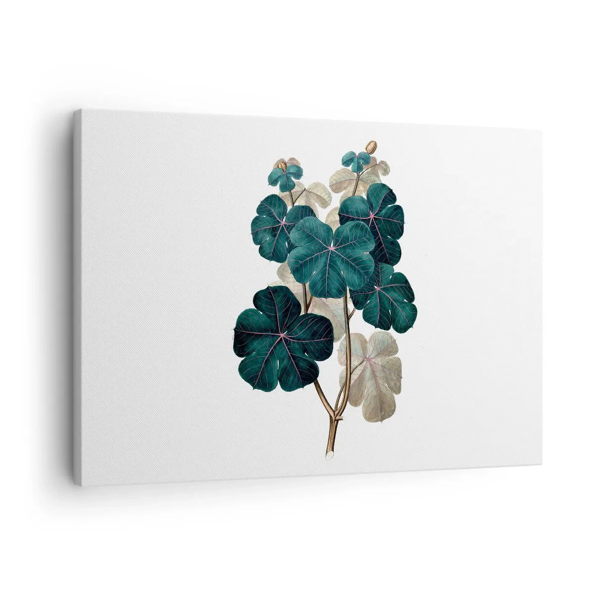 Obraz na plátně - Botanická ilustrace s listy v odstínech zelené a béžové - 70x50cm - Ze starého herbáře - Moderní nástěnná dekorace do obývacího pokoje a ložnice ARTTOR