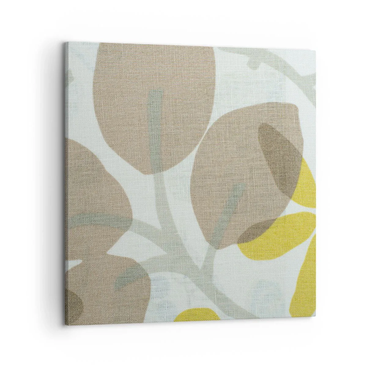 Obraz na plátně - Kompozice v plném slunci - 50x50 cm