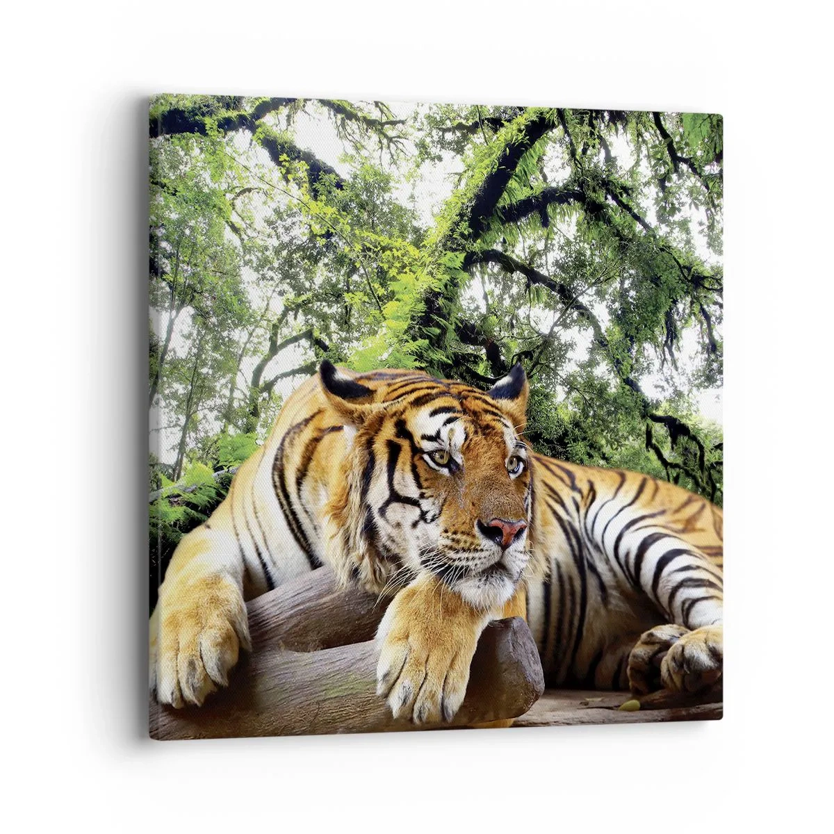 Obraz na plátně - S úctou - 40x40 cm