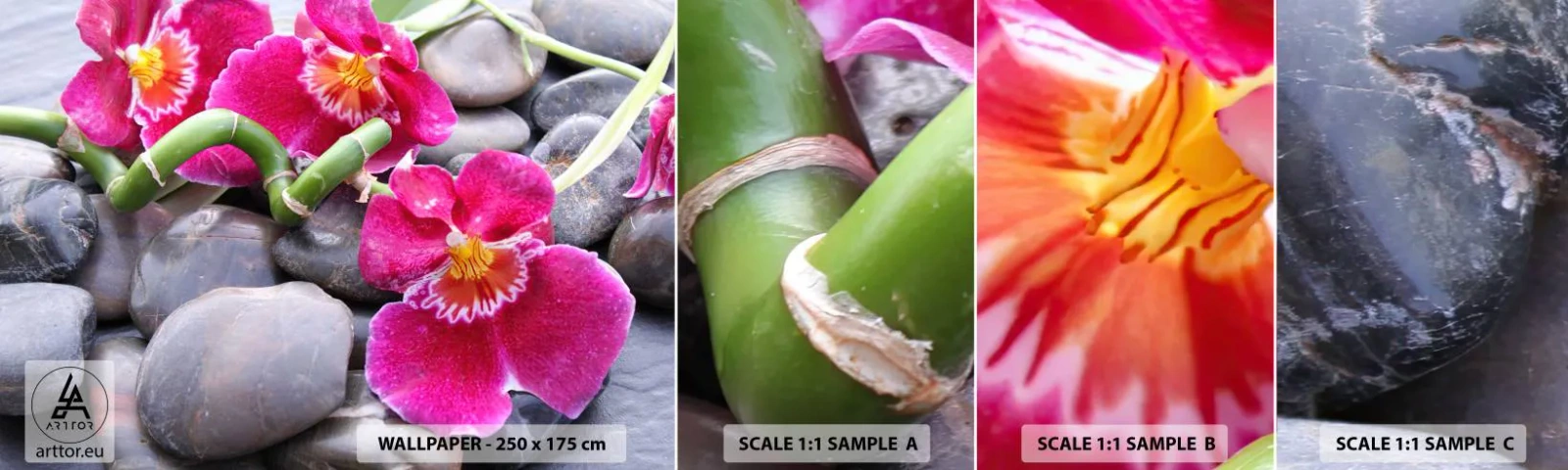 Fototapeta Vzorek Standard Eco - Chlad a žár - Květiny, Kameny, Orchidej - 100x30 cm