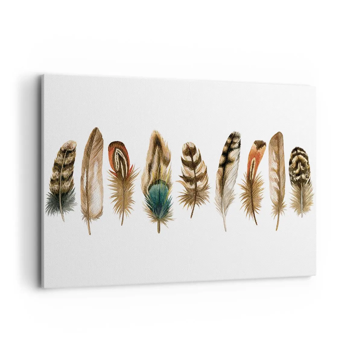 Obraz na plátně - Opeřená variace - 100x70 cm