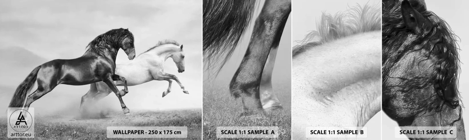 Fototapeta Vzorek Standard Eco - Andělé a démoni - Zvířata, Koně, Příroda - 100x30 cm