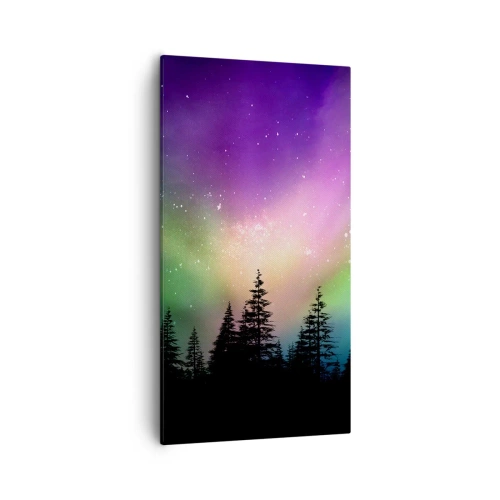 Obraz na plátně - Bílá magie - 55x100 cm