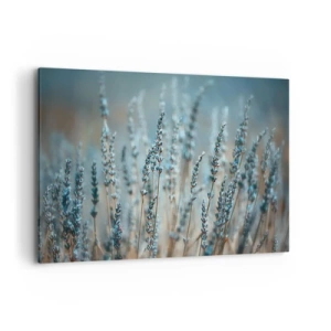 Obraz na plátně - Voňavý lán - 120x80 cm