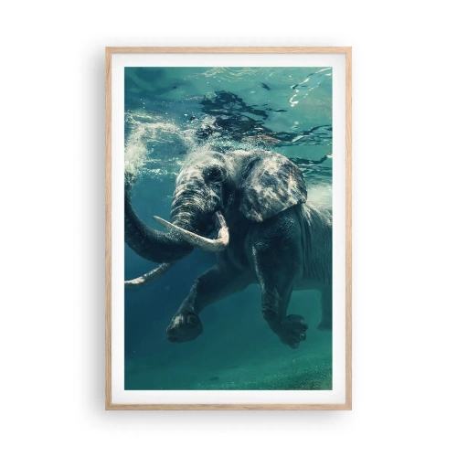 Plakát v rámu světlý dub - Všichni rádi plavou - 61x91 cm
