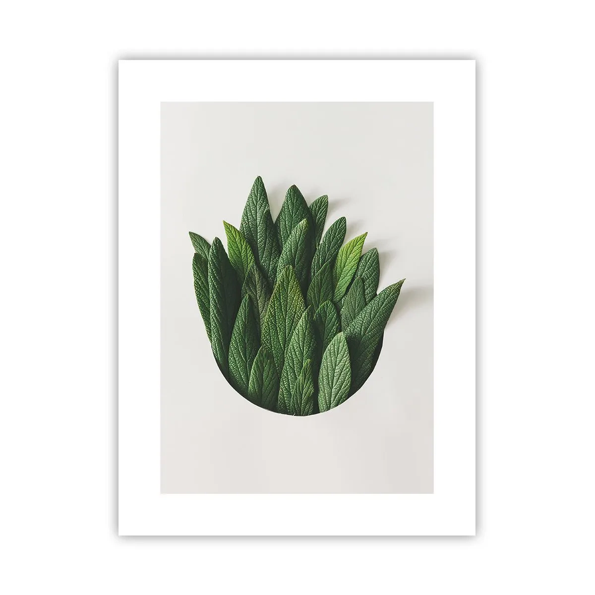 Plakát - Neukojitelná zvědavost - 30x40 cm