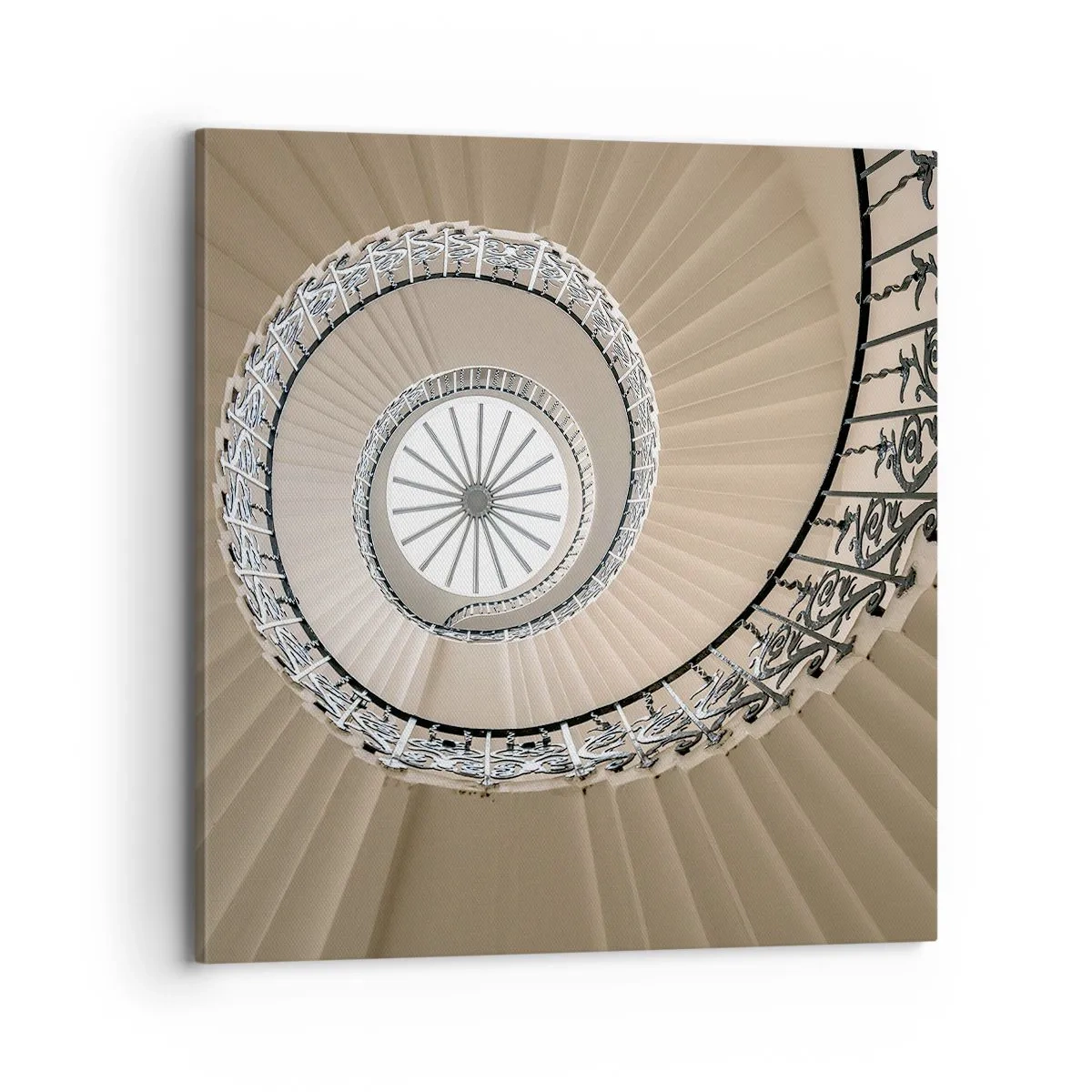 Obraz na plátně - Uvnitř mušle - 70x70 cm