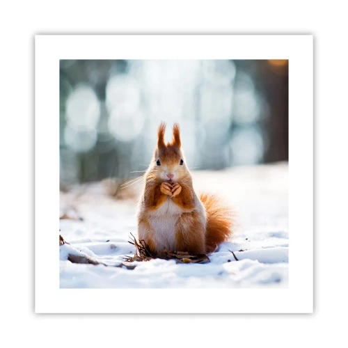 Plakát - Co se tak díváš? - 40x40 cm