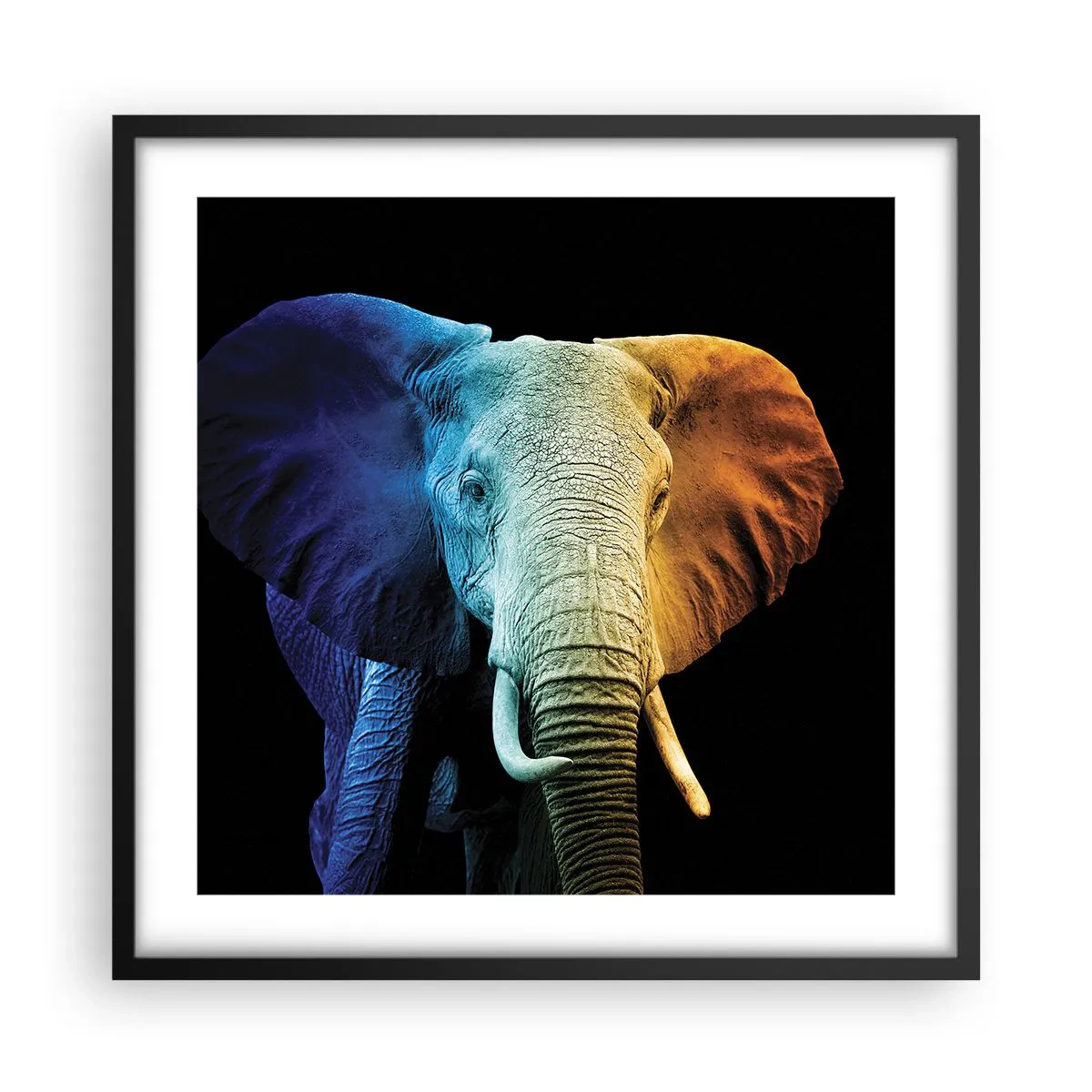 Plakát v černém rámu - Výstřední muž, ale ne podivín - 50x50 cm