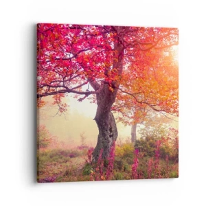 Obraz na plátně - Šílenství rozkvětu - 40x40 cm