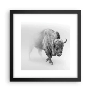 Plakát v černém rámu - Král prérie - 30x30 cm