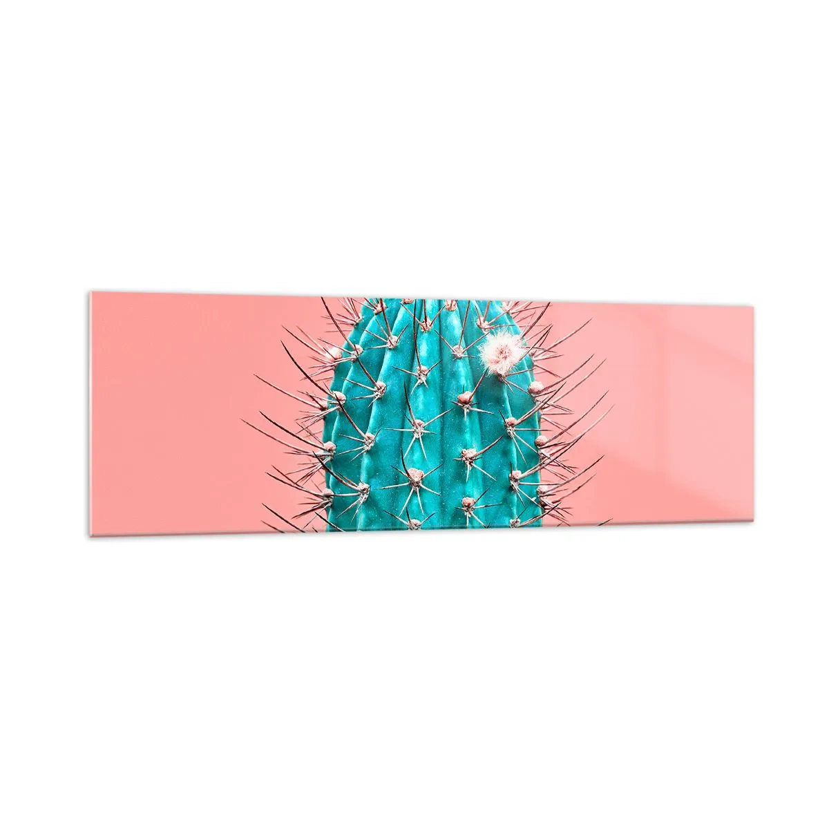 Obraz na skle - Jen koukej - 160x50 cm