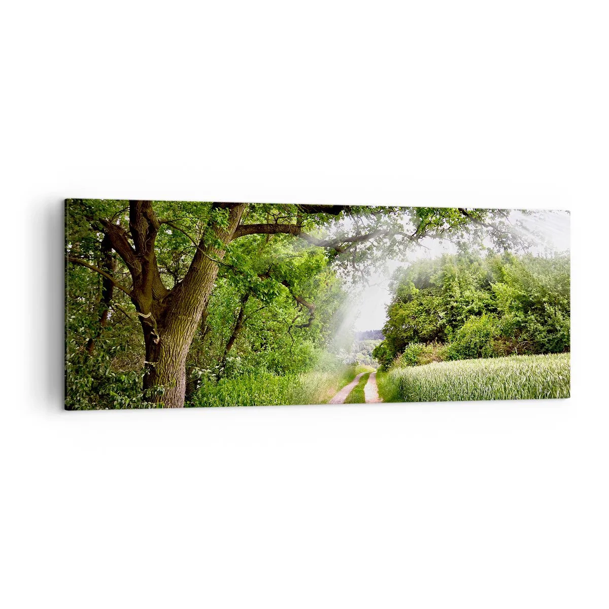 Obraz na plátně - Et in Arcadia ego - 140x50 cm