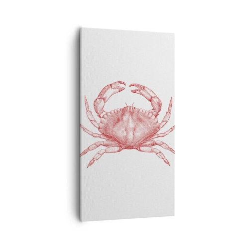 Obraz na plátně - Krab nad kraby - 55x100 cm