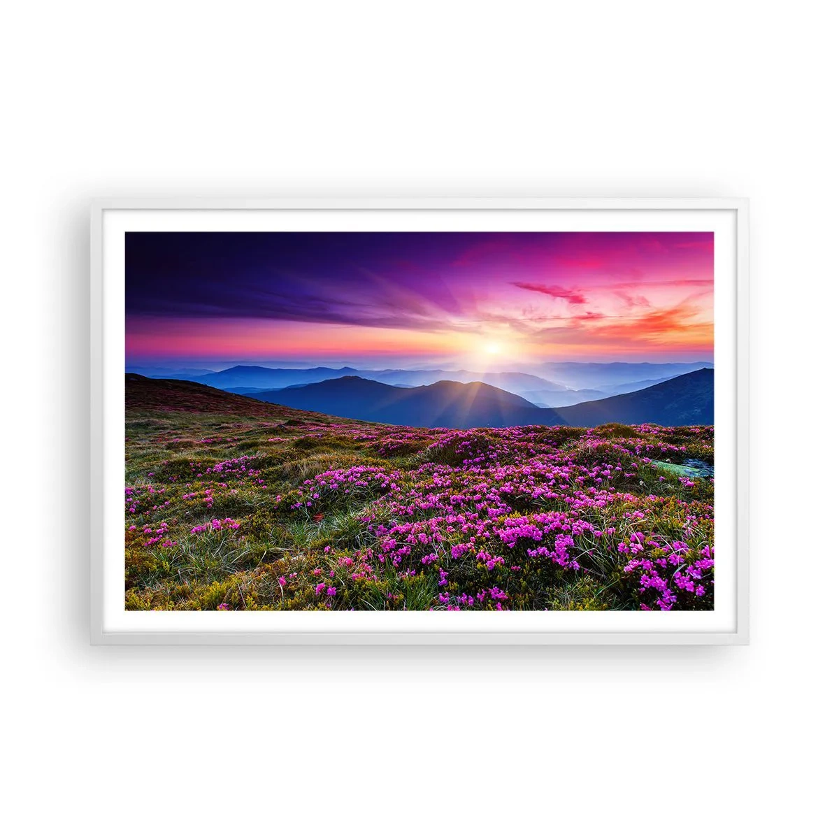 Plakát v bílém rámu - Zavoněly svěží pupeny bylinek z obilných polí - 91x61 cm