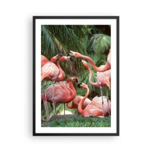 Plakát v černém rámu - Růžoví plameňáci v exotickém prostředí palem - 50x70cm - Odpolední drby - Moderní nástěnná dekorace do obývacího pokoje a ložnice ARTTOR