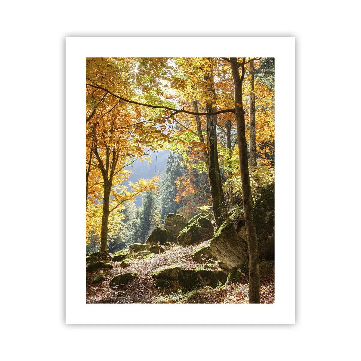 Plakát - Čas na odpočinek - 40x50 cm