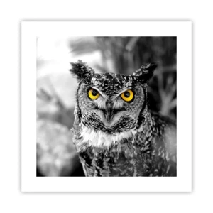 Plakát - Nic se neschová - 40x40 cm